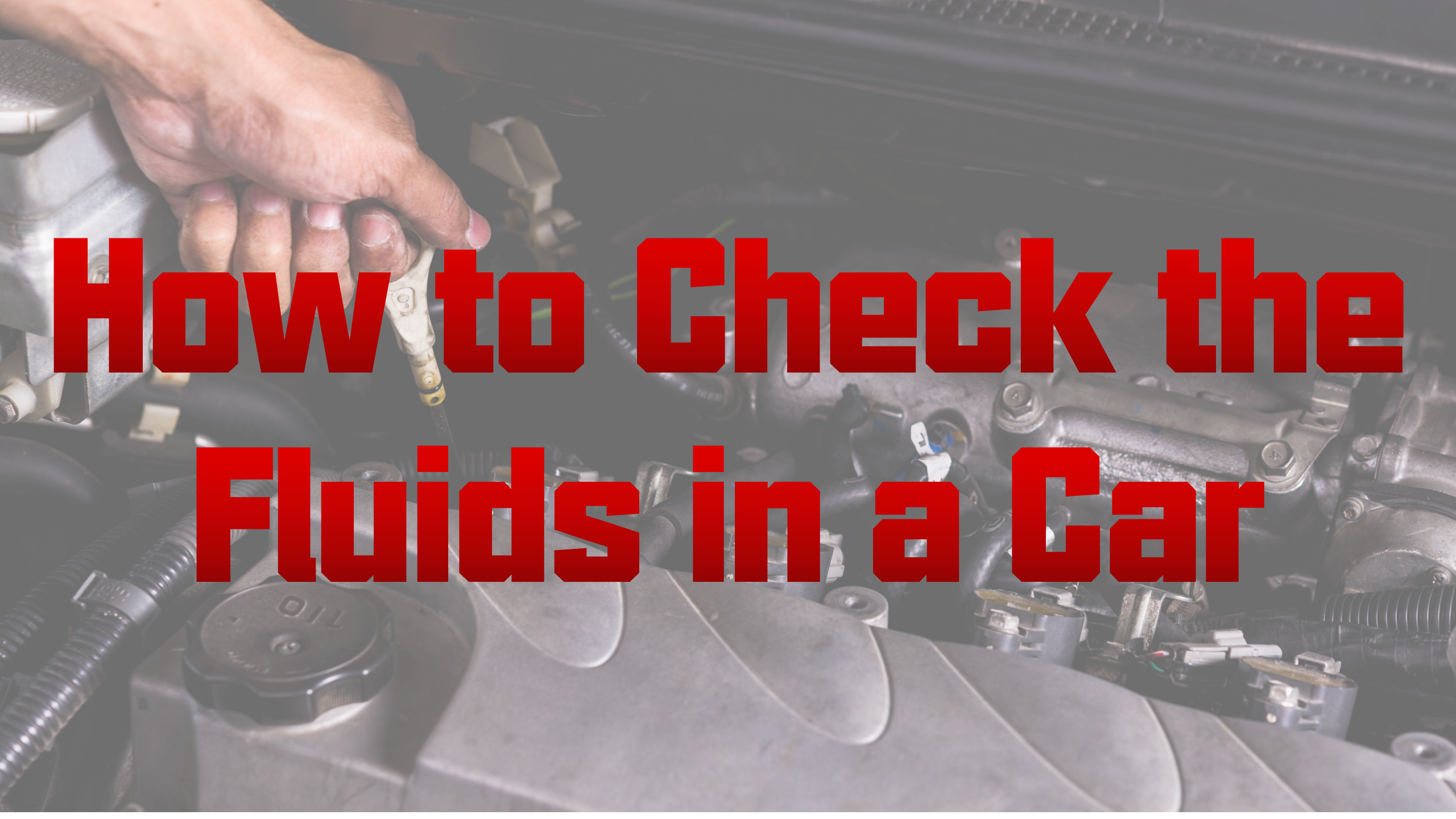 How to Check the Fluids in a Car